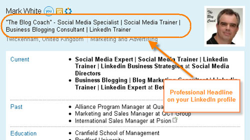 LinkedIn profile Professional Headline