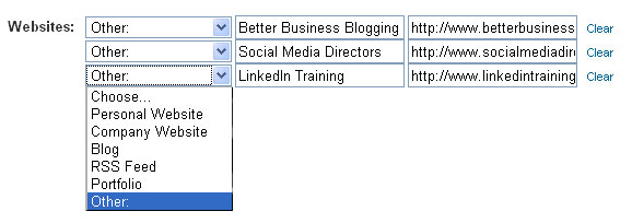 Custom website links on LinkedIn